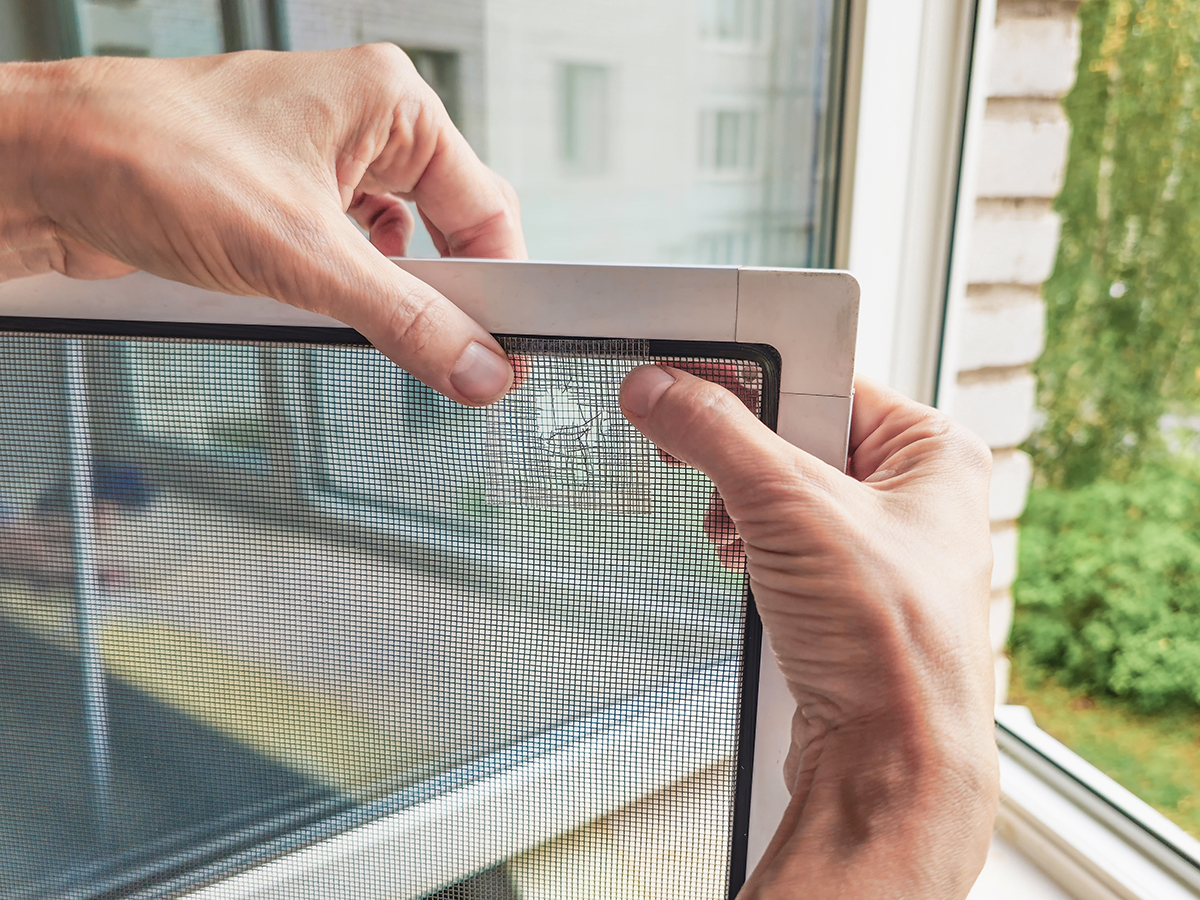 Winterpflege und Kältebeständigkeit